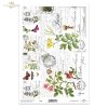 jaskółcze ziele, dzika róża, kwiaty, zioła, motyle*buttercup, wild rose, flowers, herbs, butterflies*Hahnenfuß, Wildrose, Blumen, Kräuter, Schmetterlinge*ranúnculo, rosa silvestre, flores, hierbas, mariposas